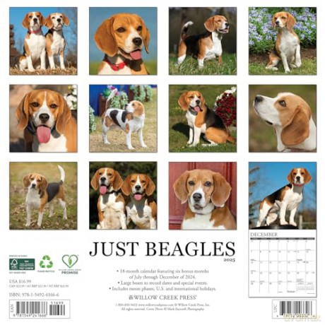 Beagles 2025 Wall [KSIĄŻKA]