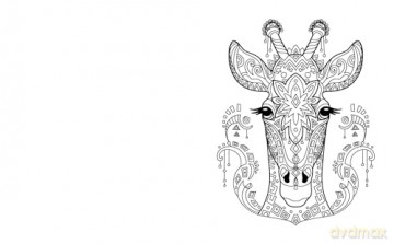 Beautiful Animals Colouring Book (Arcturus Creative Colouring) - Tansy Willow [KSIĄŻKA]