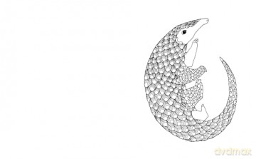 Beautiful Animals Colouring Book (Arcturus Creative Colouring) - Tansy Willow [KSIĄŻKA]