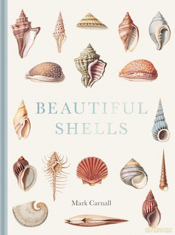 Beautiful Shells: George Perry's Conchology - Mark Carnall [KSIĄŻKA]