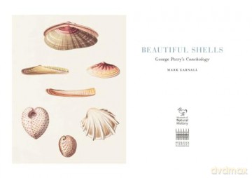 Beautiful Shells: George Perry's Conchology - Mark Carnall [KSIĄŻKA]