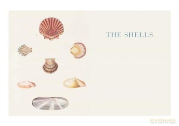 Beautiful Shells: George Perry's Conchology - Mark Carnall [KSIĄŻKA]