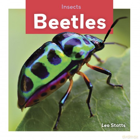 Beetles (Insects) - Leo Statts [KSIĄŻKA]
