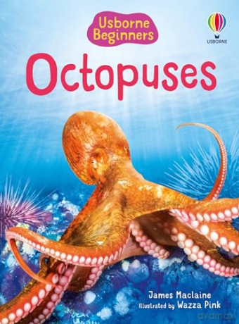 Beginners Octopuses - James Maclaine [KSIĄŻKA]