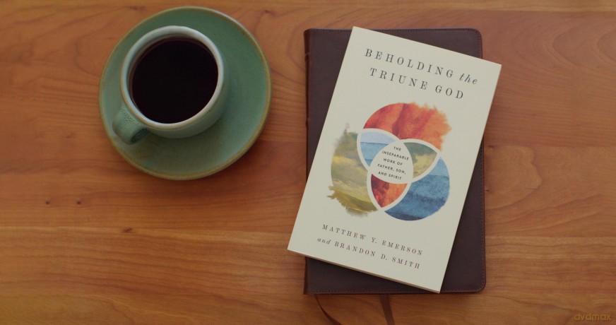 Beholding the Triune God: The Inseparable Work of Father, Son, and Spirit - Matthew Y. Emerson [KSIĄŻKA]