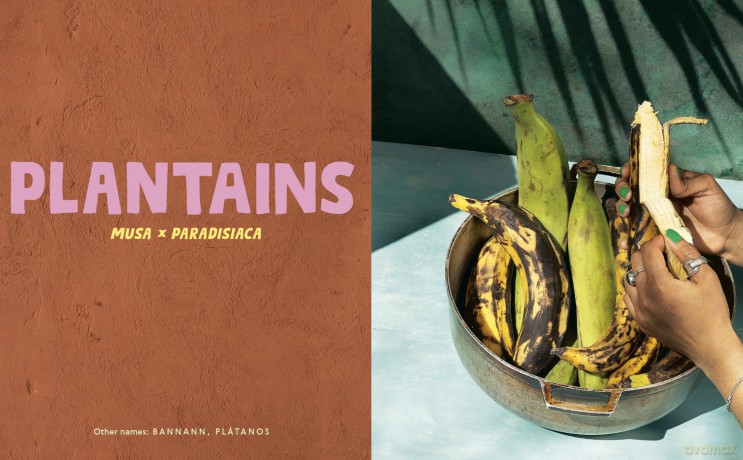 Belly Full: Exploring Caribbean Cuisine through 11 Fundamental Ingredients and over 100 Recipes ((A Cookbook)) - Lesley Enston [KSIĄŻKA]