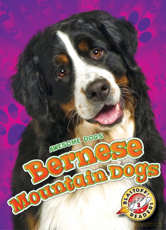 Bernese Mountain Dogs (Awesome Dogs) - Rebecca Sabelko [KSIĄŻKA]