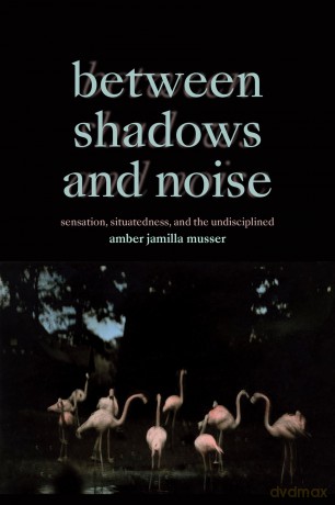 Between Shadows and Noise: Sensation, Situatedness, and the Undisciplined - Amber Jamilla Musser [KSIĄŻKA]