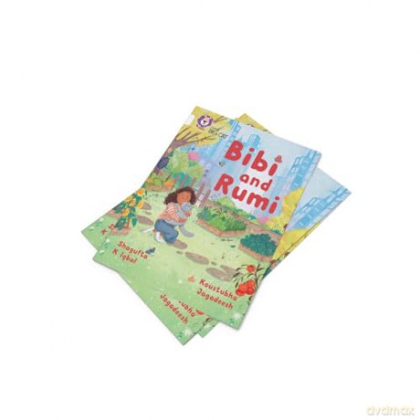 Bibi and Rumi: Band 10/White (Collins Big Cat) - Shagufta K Iqbal [KSIĄŻKA]