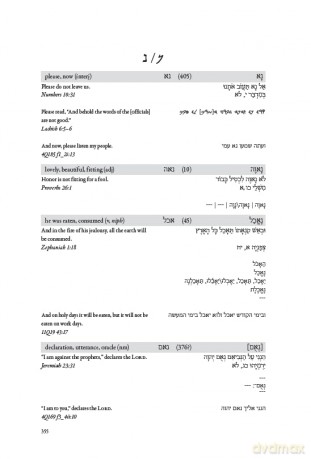 Biblical Hebrew and Aramaic Dictionary - Robert R. Duke [KSIĄŻKA]