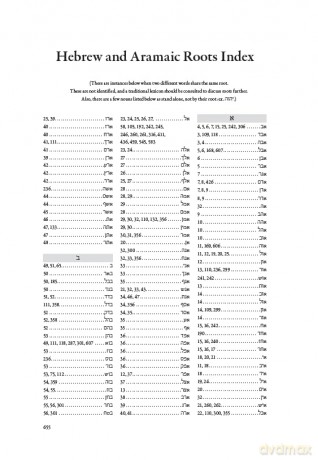 Biblical Hebrew and Aramaic Dictionary - Robert R. Duke [KSIĄŻKA]