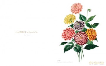Biblioflora: A celebration of floral beauty in botanical art - Jeanne Batiste [KSIĄŻKA]