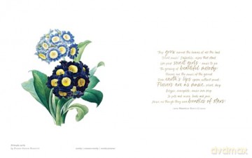 Biblioflora: A celebration of floral beauty in botanical art - Jeanne Batiste [KSIĄŻKA]