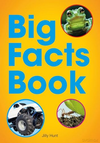 Big Facts Book - Little Wandle high-low decodable reader for ages 7+ (Striders Phonics Readers) - Jilly Hunt [KSIĄŻKA]