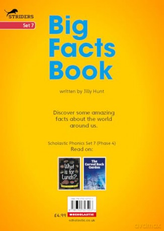 Big Facts Book - Little Wandle high-low decodable reader for ages 7+ (Striders Phonics Readers) - Jilly Hunt [KSIĄŻKA]