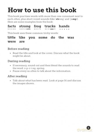 Big Facts Book - Little Wandle high-low decodable reader for ages 7+ (Striders Phonics Readers) - Jilly Hunt [KSIĄŻKA]