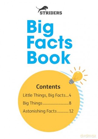 Big Facts Book - Little Wandle high-low decodable reader for ages 7+ (Striders Phonics Readers) - Jilly Hunt [KSIĄŻKA]