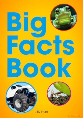 Big Facts Book - Little Wandle high-low decodable reader for ages 7+ (Striders Phonics Readers) - Jilly Hunt [KSIĄŻKA]