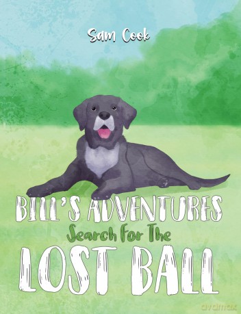 Bill's Adventures: Search for the Lost Ball - Sam Cook [KSIĄŻKA]