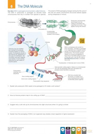 BIOZONE IB Biology (2024) - Jill Mellanby [KSIĄŻKA]
