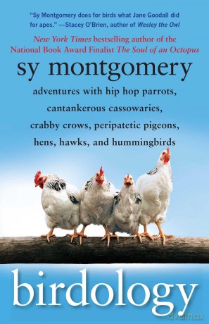 Birdology: Adventures with Hip Hop Parrots, Cantankerous Cassowaries, Crabby Crows, Peripatetic Pigeons, Hens, Hawks, and Hummingbirds (A Gift for Bird Lovers) - Sy Montgomery [KSIĄŻKA]