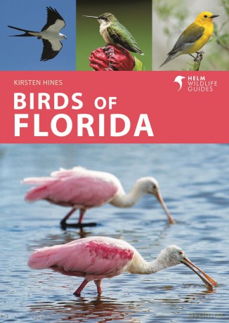 Birds of Florida (Helm Wildlife Guides) - Kirsten Hines [KSIĄŻKA]