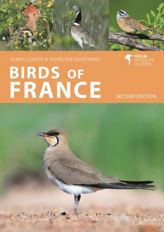 Birds of France: Second Edition (Helm Wildlife Guides) - James Lowen [KSIĄŻKA]