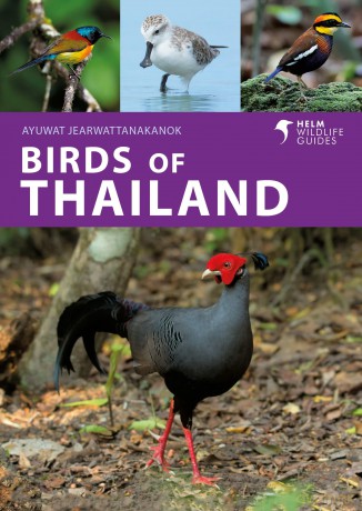 Birds of Thailand (Helm Wildlife Guides) - Ayuwat Jearwattanakanok [KSIĄŻKA]