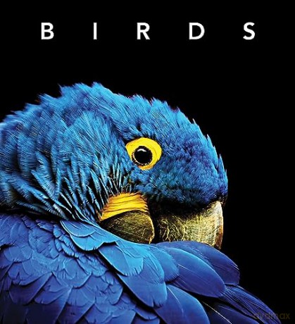 Birds: Deluxe Series - Simon Papps [KSIĄŻKA]