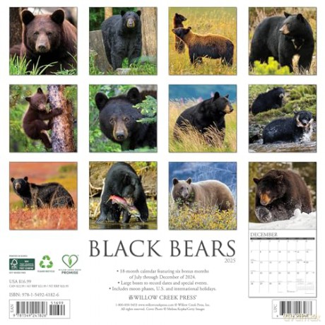 Black Bears 2025 Wall [KSIĄŻKA]