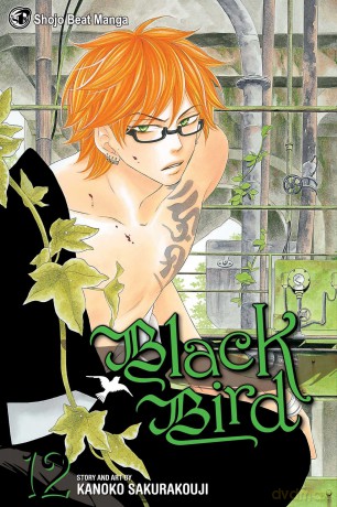 Black Bird, Vol. 12 (Volume 12) - Kanoko Sakurakouji [KSIĄŻKA]