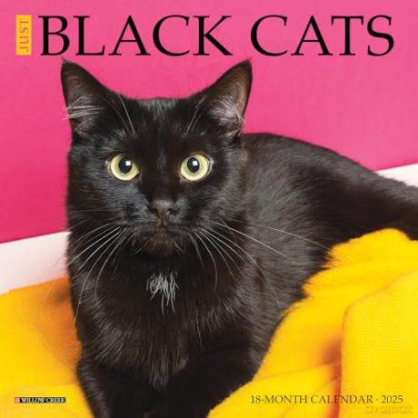 Black Cats 2025 Mini [KSIĄŻKA]