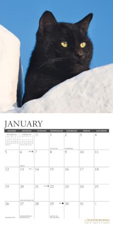 Black Cats 2025 Mini [KSIĄŻKA]