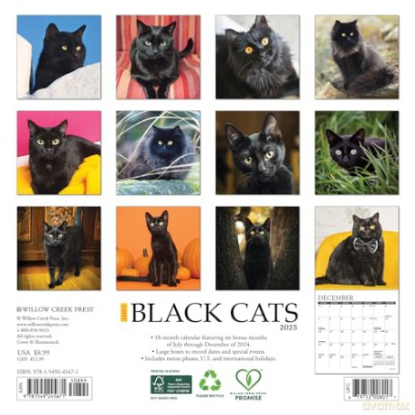 Black Cats 2025 Mini [KSIĄŻKA]