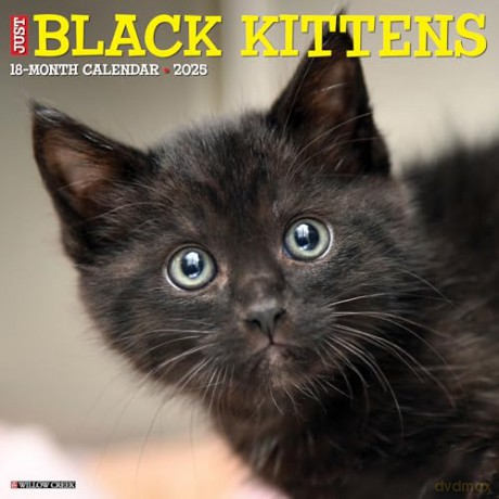 Black Kittens 2025 Wall [KSIĄŻKA]