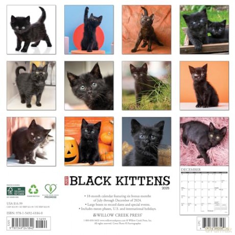 Black Kittens 2025 Wall [KSIĄŻKA]
