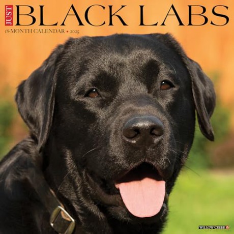 Black Labs 2025 Wall [KSIĄŻKA]