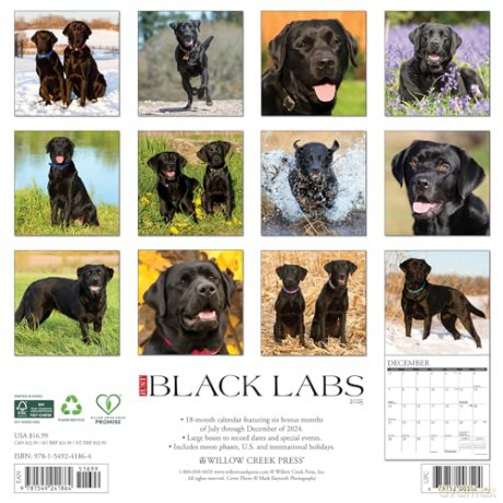 Black Labs 2025 Wall [KSIĄŻKA]