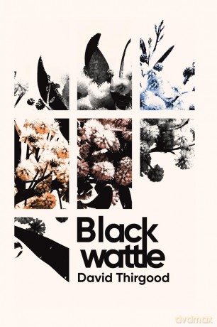 Blackwattle - David Thirgood [KSIĄŻKA]