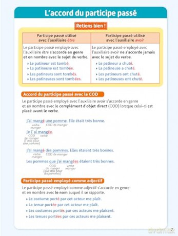 BLED Ecole Primaire Conjugaison Du CE1 au CM2 - Daniel Berlion [KSIĄŻKA]
