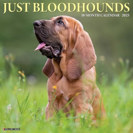 Bloodhounds 2025 Wall [KSIĄŻKA]