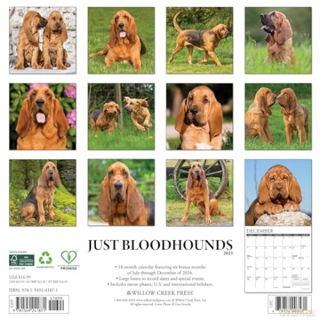 Bloodhounds 2025 Wall [KSIĄŻKA]