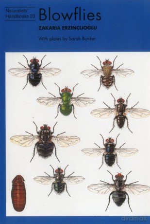 Blowflies (Naturalists' Handbook 23) - Zakaria Erzinclioglu [KSIĄŻKA]