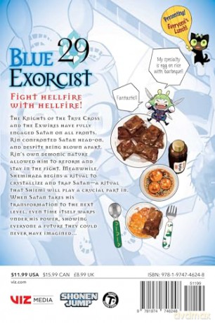 Blue Exorcist, Vol. 29 (Volume 29) - Kazue Kato [KSIĄŻKA]