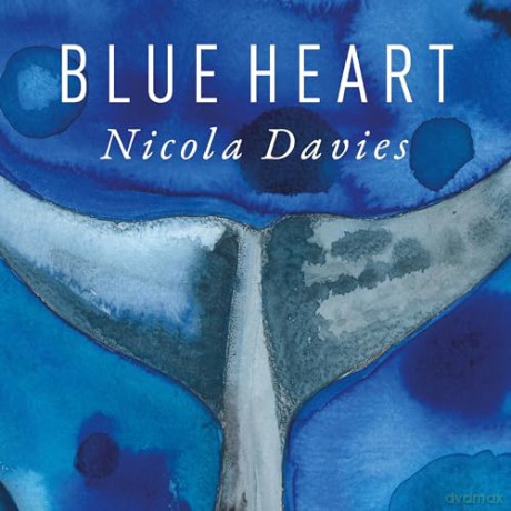 Blue Heart - Nicola Davies [KSIĄŻKA]
