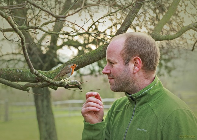 Bob the Robin: A Love Letter to Britain's Favourite Bird - Tony Putman [KSIĄŻKA]