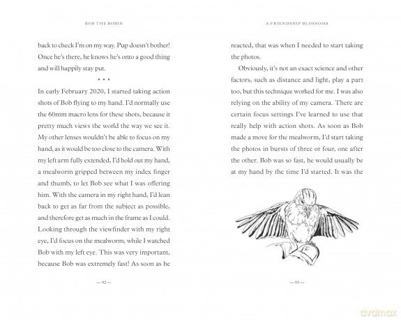 Bob the Robin: A Love Letter to Britain's Favourite Bird - Tony Putman [KSIĄŻKA]