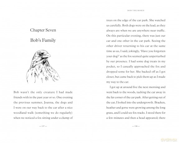 Bob the Robin: A Love Letter to Britain's Favourite Bird - Tony Putman [KSIĄŻKA]