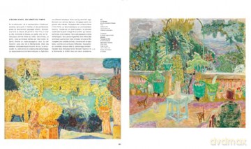 Bonnard - Isabelle Cahn [KSIĄŻKA]