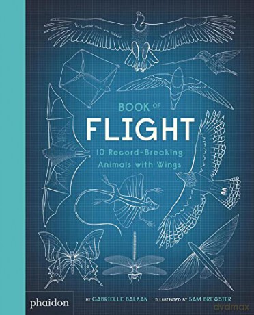 Book of Flight: 10 Record-Breaking Animals with Wings - Gabrielle Balkan [KSIĄŻKA]
